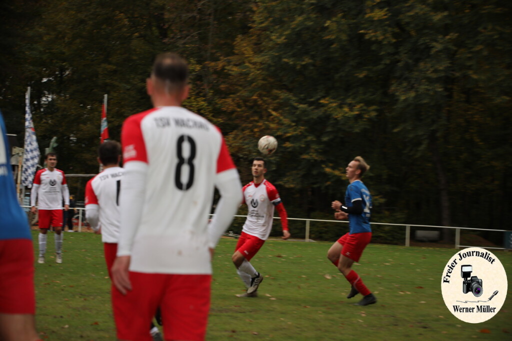 20s23-11-12-WM-276aab777326979be56.jpeg