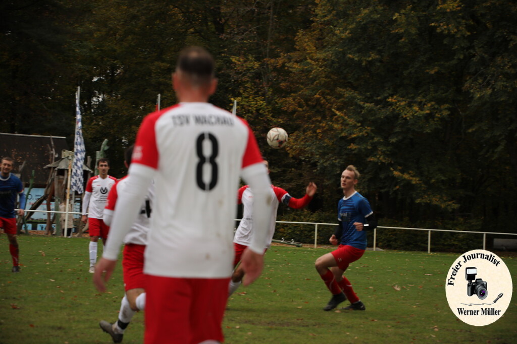20s23-11-12-WM-277b712d89f34db16b1.jpeg