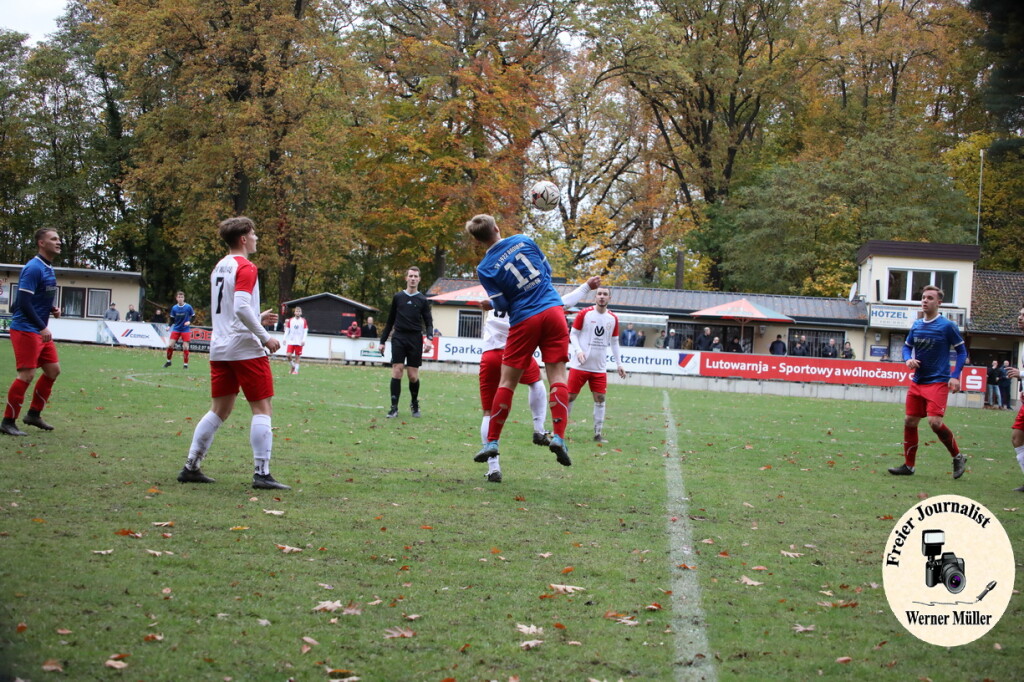 20s23-11-12-WM-282cb60783307a90d48.jpeg