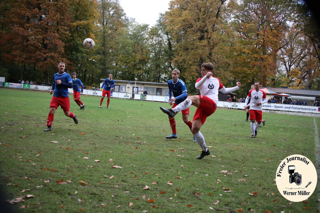 20s23-11-12-WM-2901f312402465e87bd.jpeg