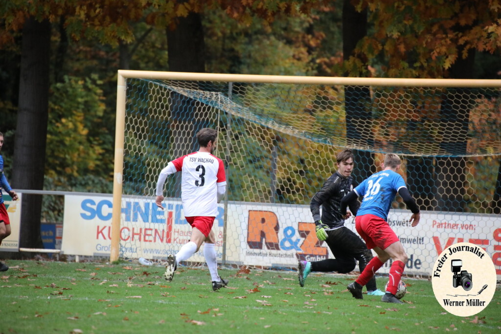 20s23-11-12-WM-339d22e5091aeceb652.jpeg