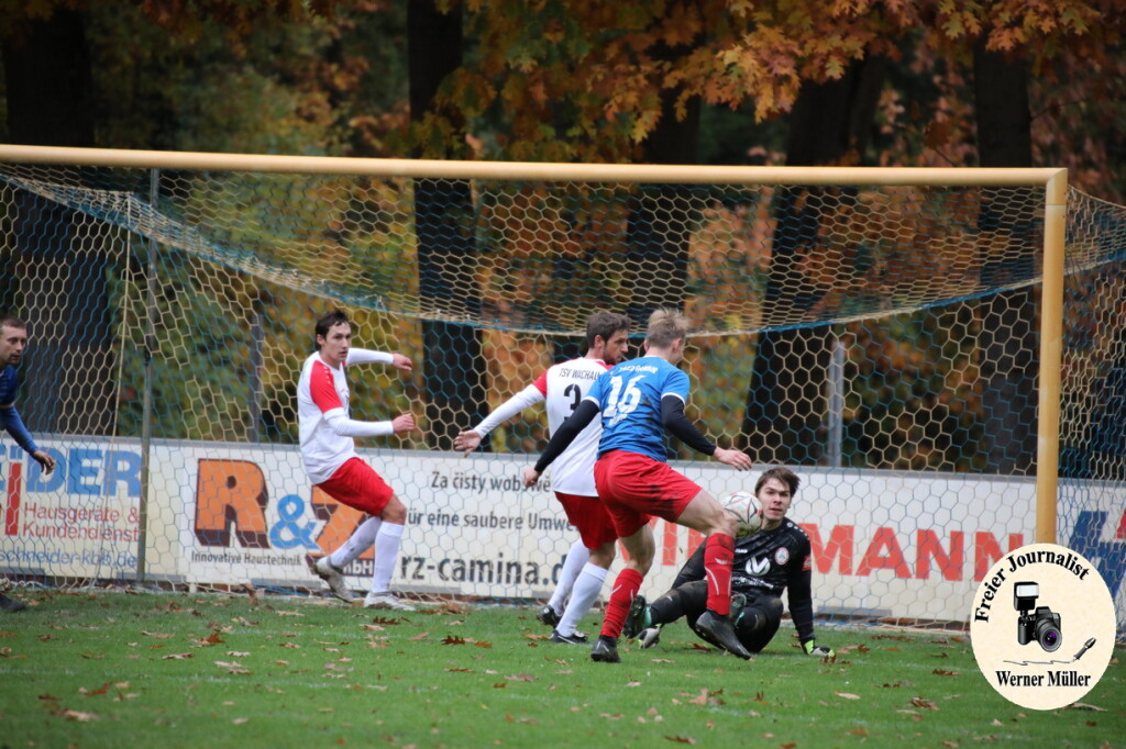 20s23-11-12-WM-346a750399c9af22860.jpeg