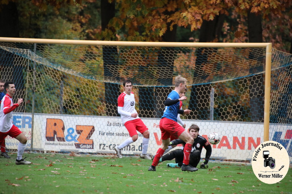 20s23-11-12-WM-348c74f1e9ebfb86956.jpeg