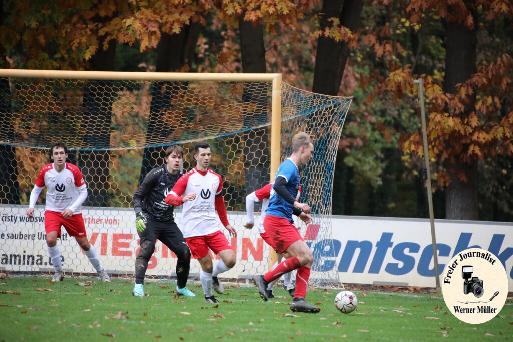 20s23-11-12-WM-3546e32d37e69b554f8.jpeg
