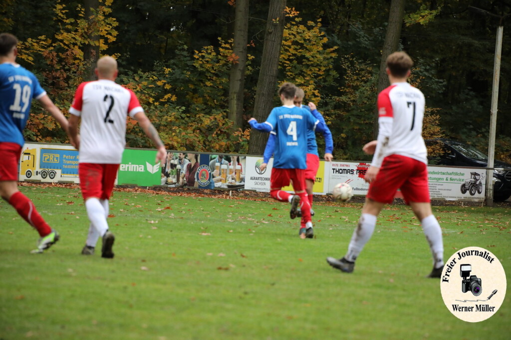 20s23-11-12-WM-37585fed3798403ceb7.jpeg