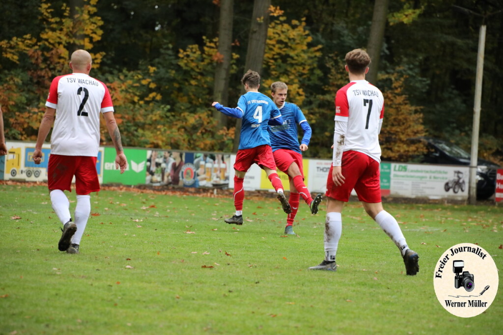 20s23-11-12-WM-376217c6c7b170196d3.jpeg