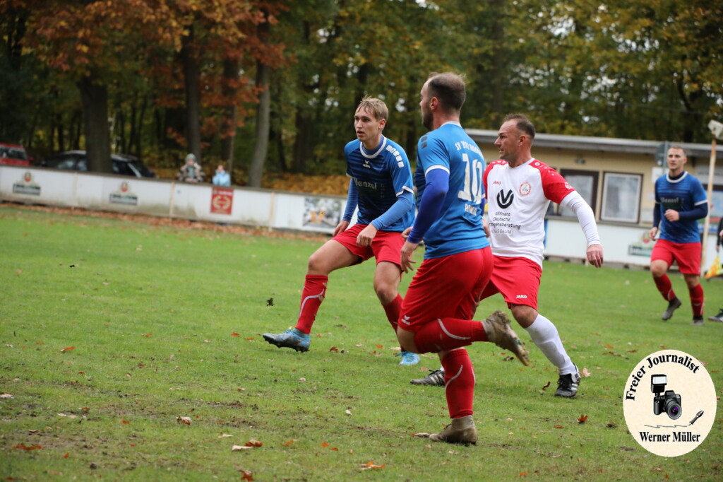 20s23-11-12-WM-388d4c27a1656d6368c.jpeg