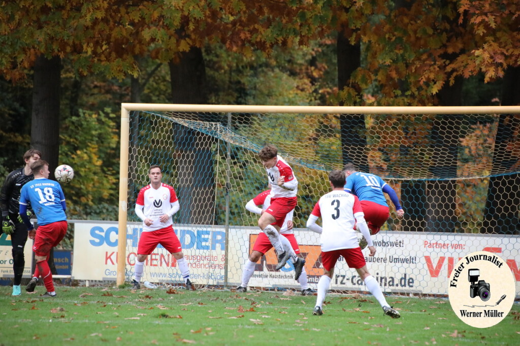20s23-11-12-WM-3921f8fbe6155481eec.jpeg