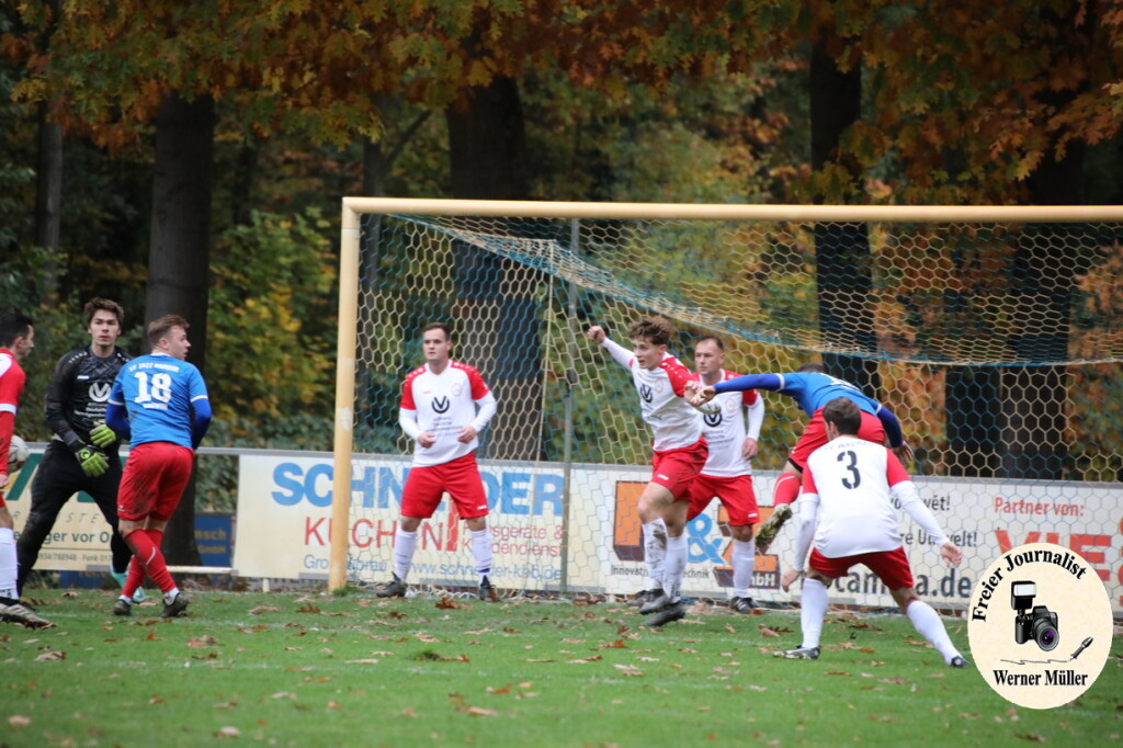 20s23-11-12-WM-393a5ca889302b0dd3e.jpeg
