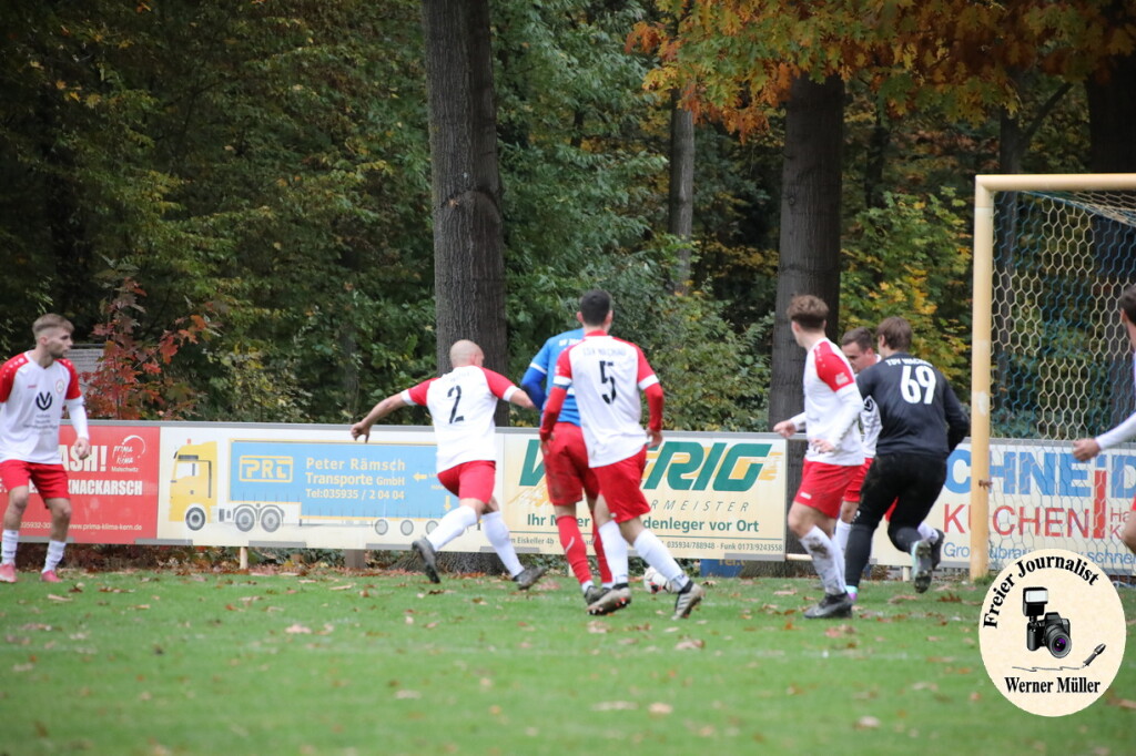 20s23-11-12-WM-3960ebd99b474a3ae08.jpeg