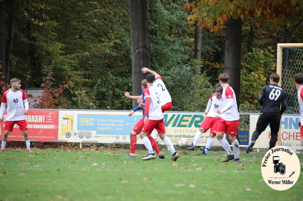 20s23-11-12-WM-398683a884990586c2b.jpeg