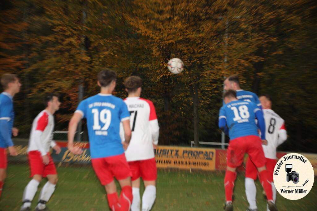 20s23-11-12-WM-416f9c2206a854aeca3.jpeg