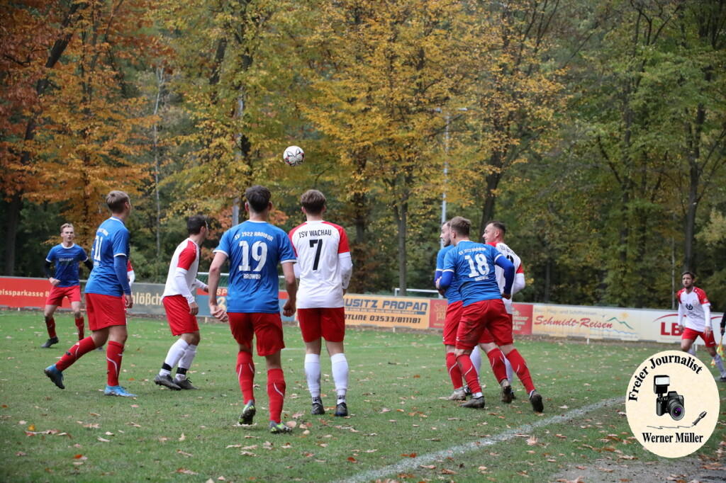 20s23-11-12-WM-417362c2363bda20293.jpeg