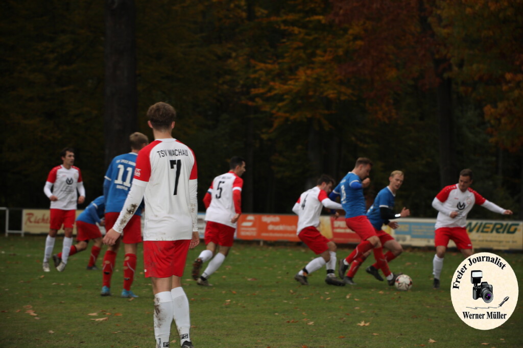 20s23-11-12-WM-42935d1057b9e7e7979.jpeg