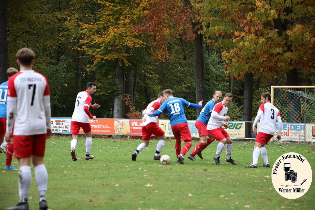 20s23-11-12-WM-4323844d89aee735600.jpeg