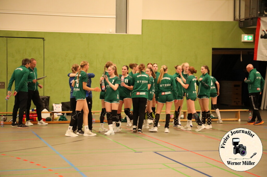 2024-06-14-WM-056af0c27a7ca5346fb.jpg