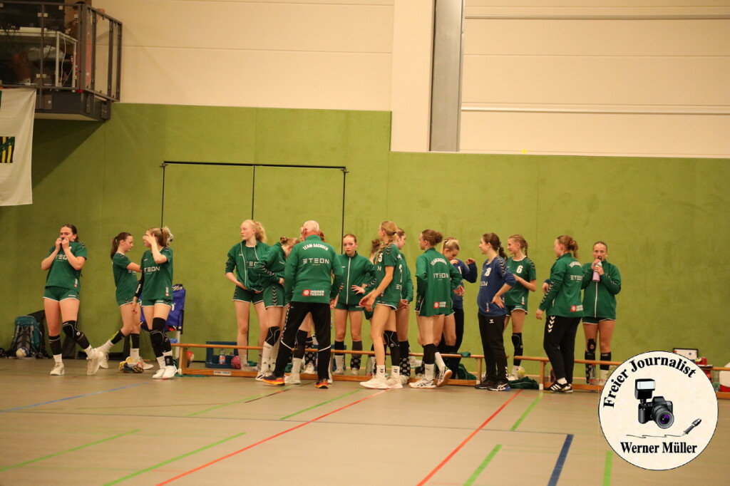 2024-06-14-WM-071ee3b4024c3fd1e55.jpg