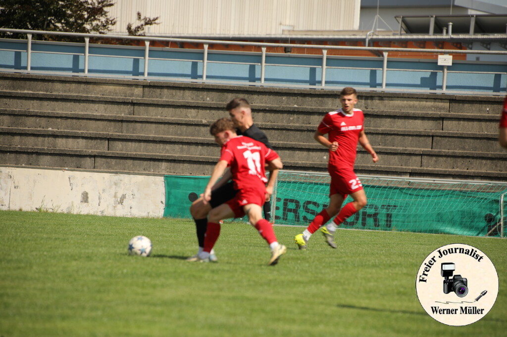 2024-08-10-WM-15871bde96426c95de5.jpg