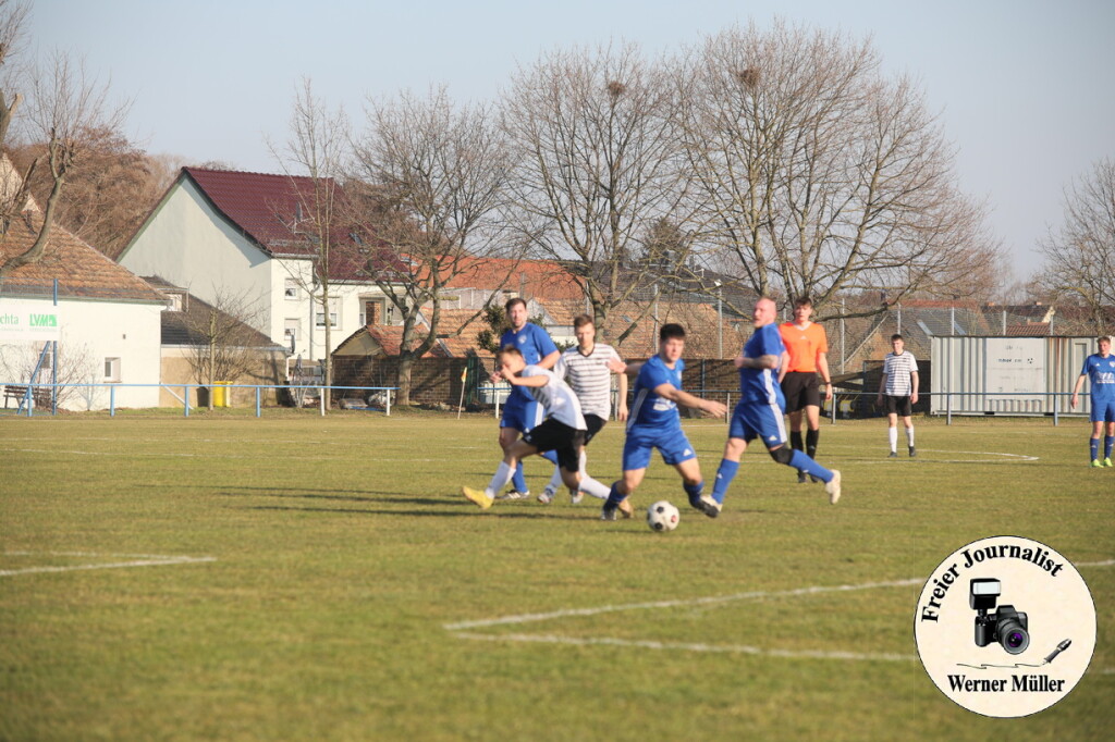 2025-03-08-WSM-140c7cb54ca769bee85.jpg