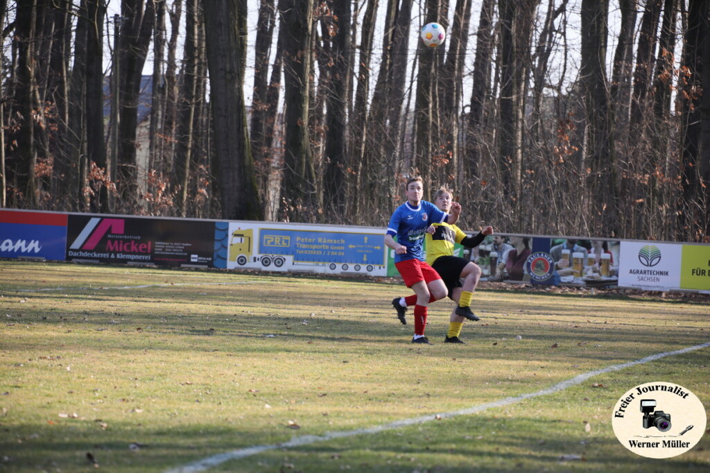 2025-03-16-WM-134910d188af40f6c9e.jpg