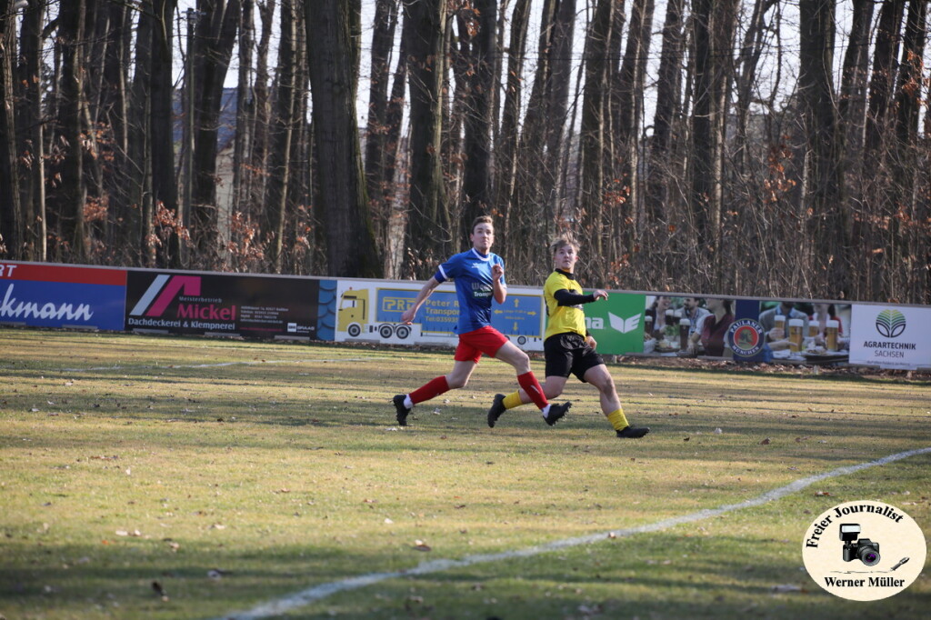 2025-03-16-WM-135781ce5beb643bd3b.jpg