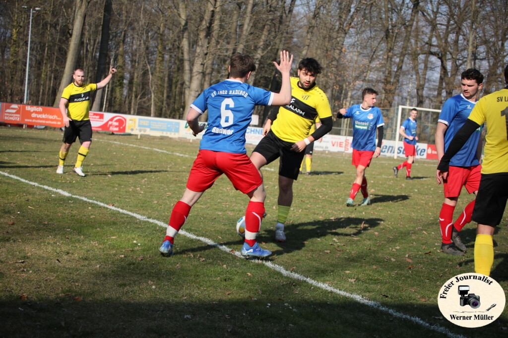2025-03-16-WM-167d281584a7be5f9ba.jpg