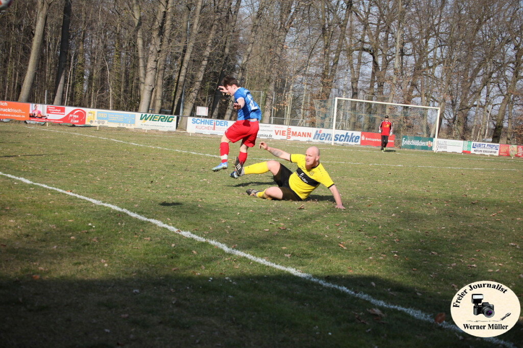 2025-03-16-WM-197c06d2ad8e20922e1.jpg