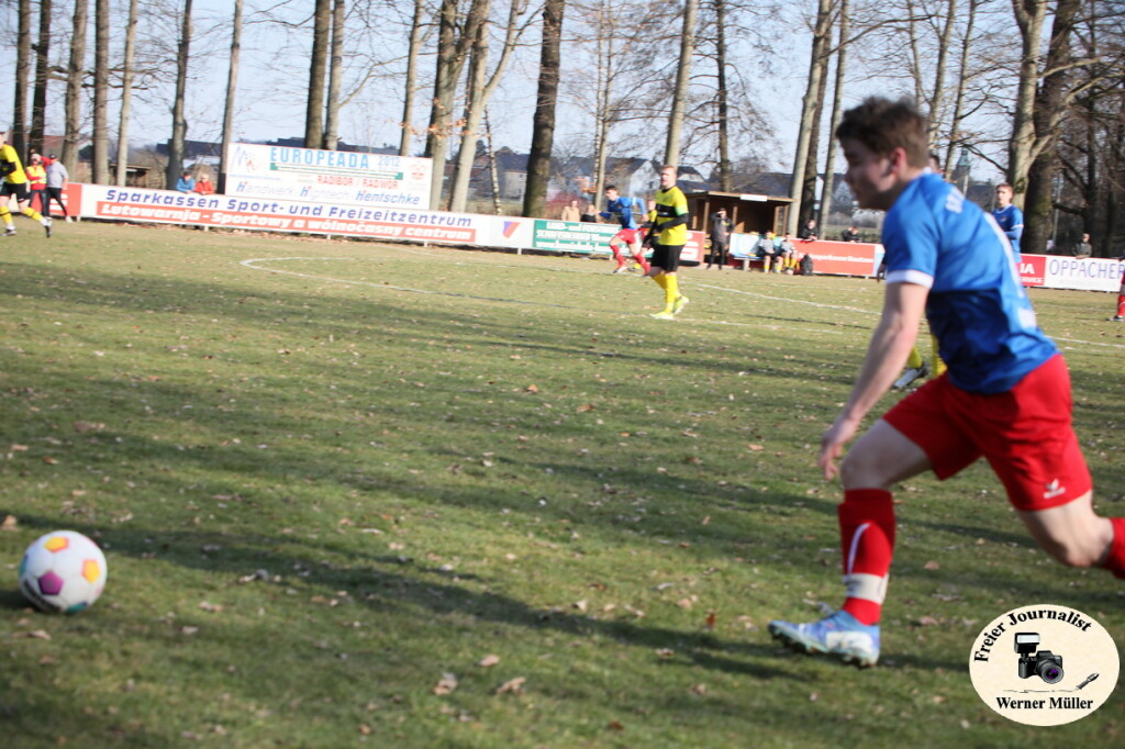 2025-03-16-WM-20148c9b310c918db6a.jpg