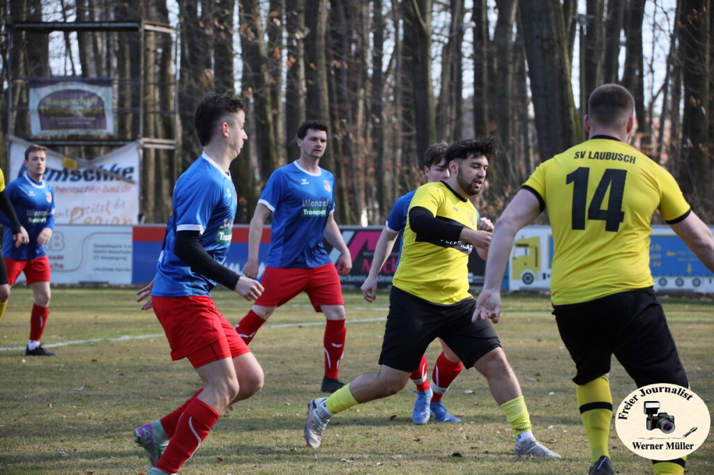 2025-03-16-WM-307ccdaeba45d5dc9fa.jpg