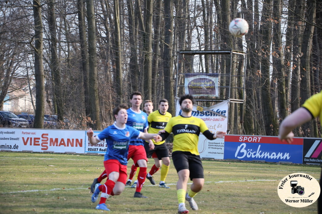 2025-03-16-WM-3123b56af25c6fea270.jpg