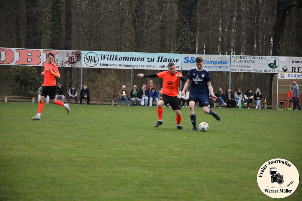 2025-03-23-WM-1604e7db8bf4b9337fe.jpg