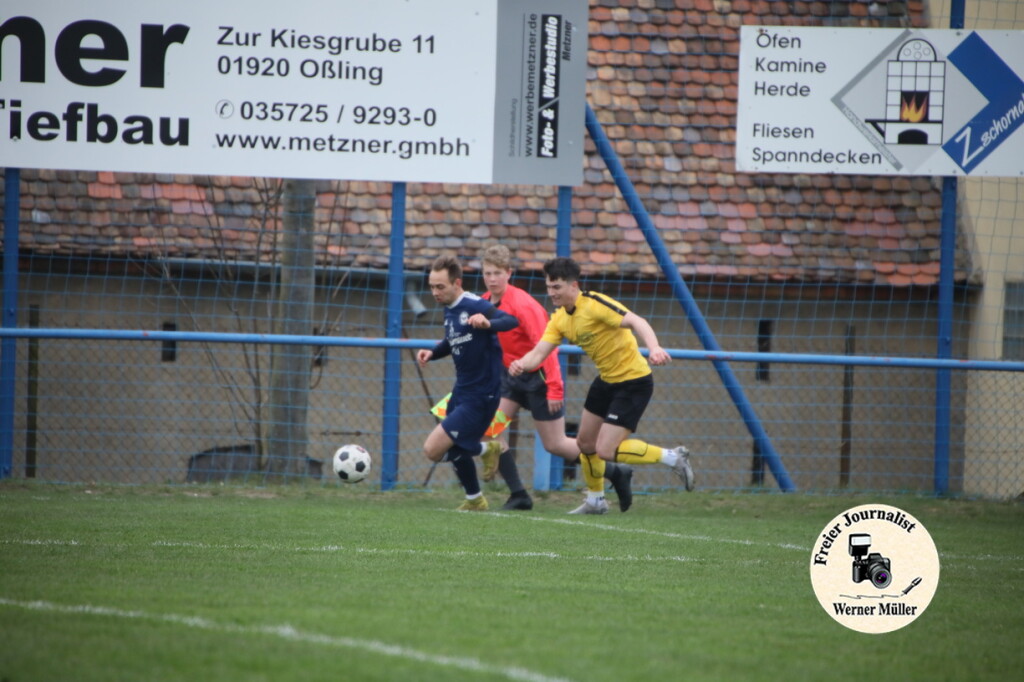 2025-03-29-WM-240de47c128cbbb3c17.jpg