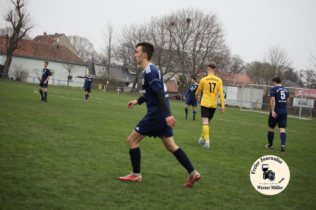 2025-03-29-WM-324300f93cf28a3bc20.jpg