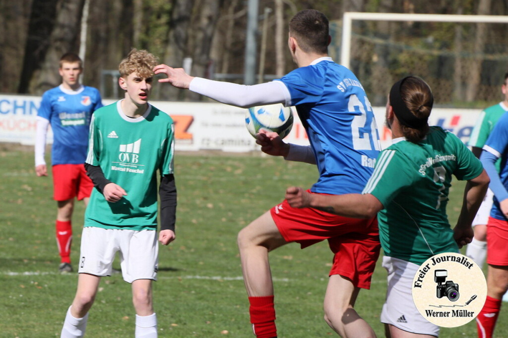 2025-04-06-WM-1434903fcb0fd2ee28c.jpg