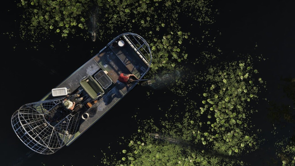 GTA-6-231ad4eeaf5d6cb95b.jpeg