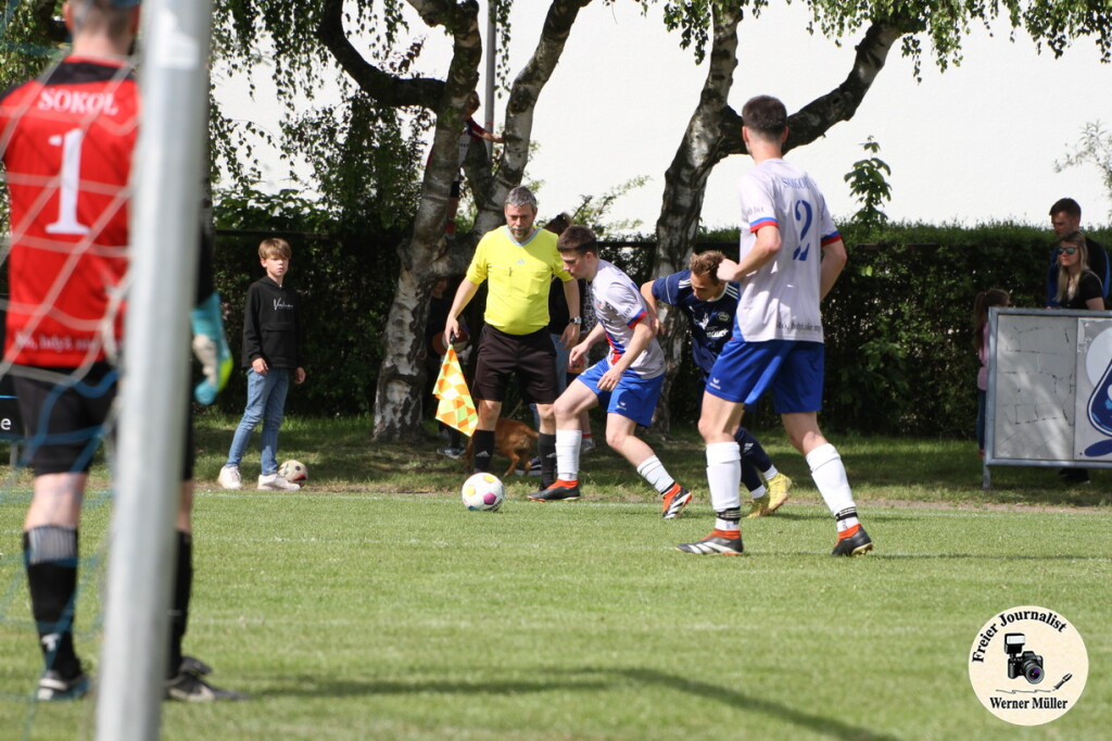 2025-05-11-WM-208aab83d19bd45c161.jpg