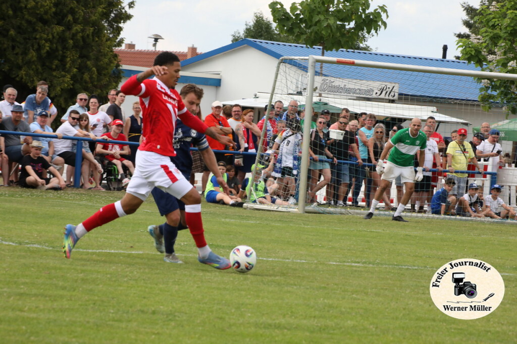 2025-06-29-WM-431ed0ff3c9fcaa9f84.jpg