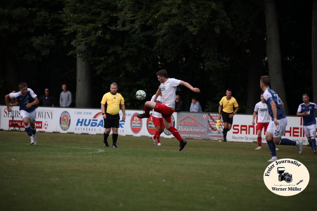 2025-08-24-WM-200f1bdbfc23fc5979c.jpg