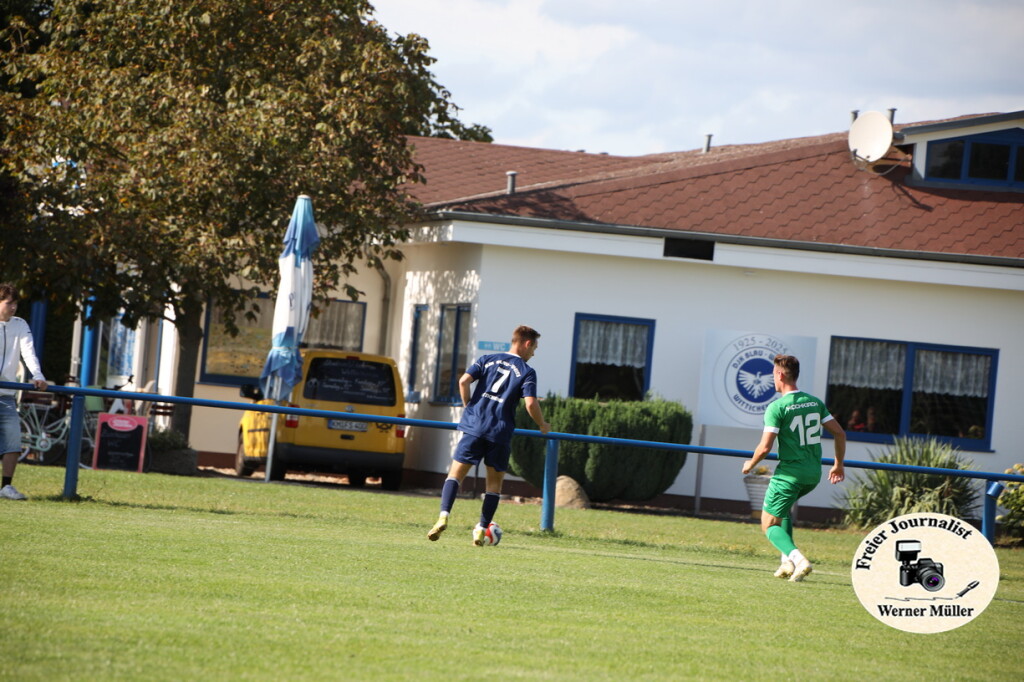 2025-09-13-WM-5772dd884d543f1365a.jpg