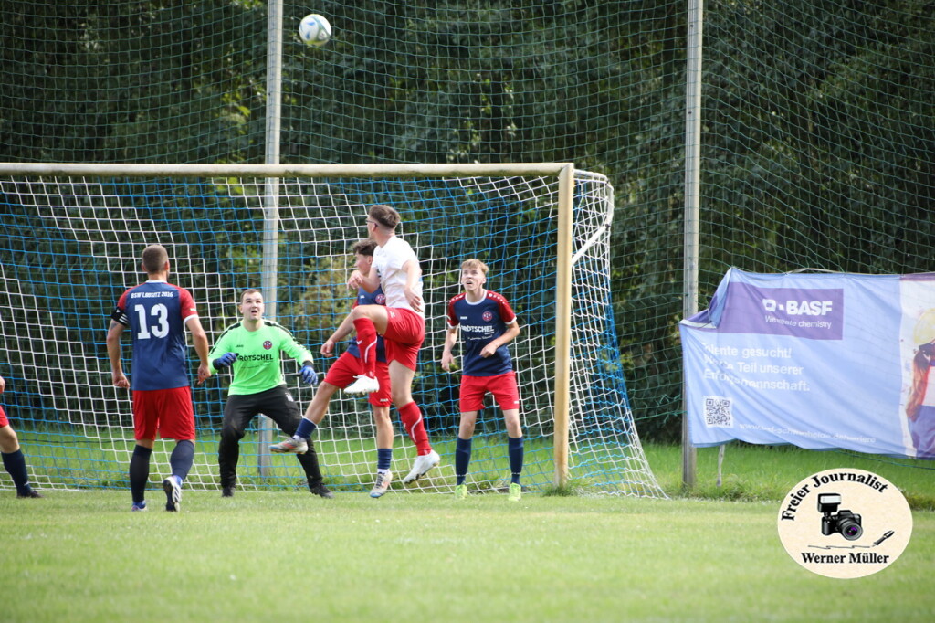 2025-09-14-WM-1584c632464cb1ffac0.jpg
