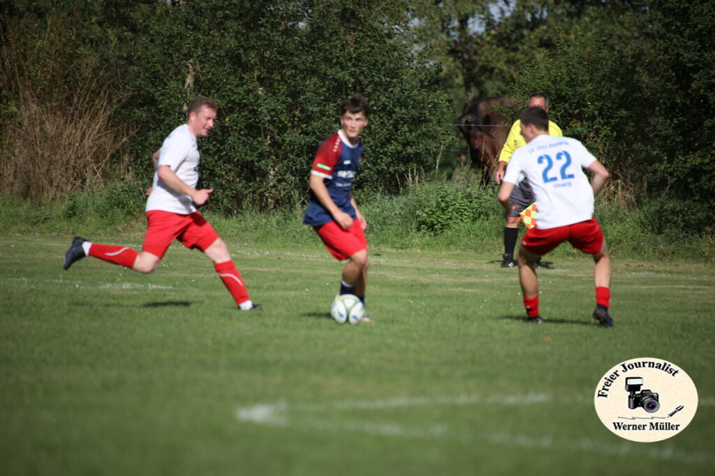 2025-09-14-WM-2829a562d12dc5ba3de.jpg