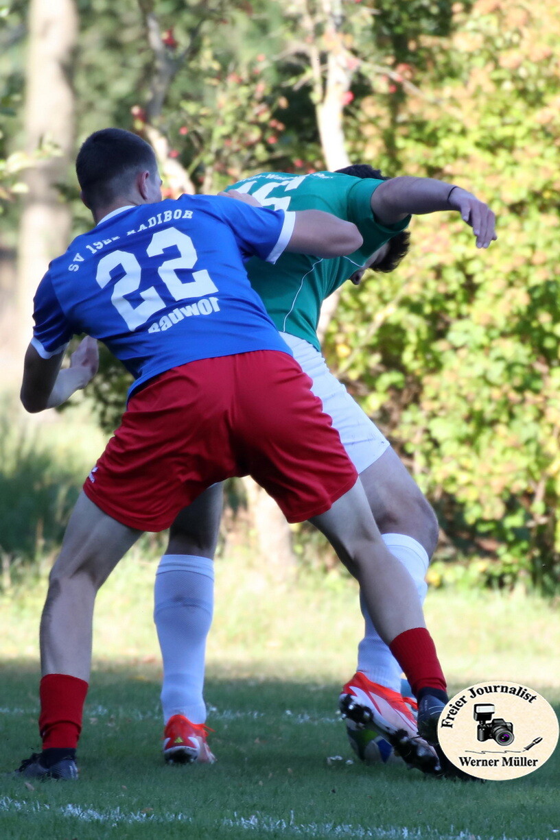 2025-09-28-WM-0756ae347ac711c75d1.jpg