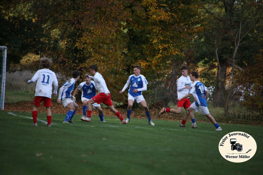 2025-10-19-WM-0s1534526599b85b544f2.jpg